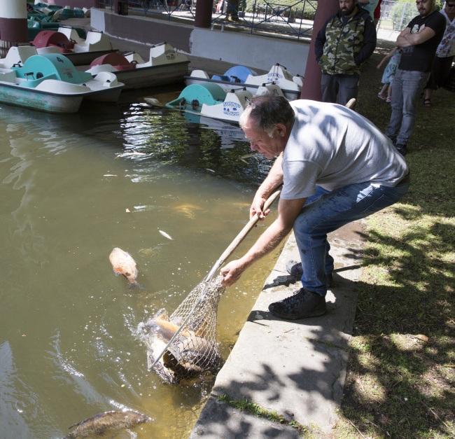 Ulrich Simons - Hangeweiher